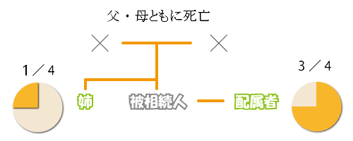 配偶者と兄弟が相続人の場合